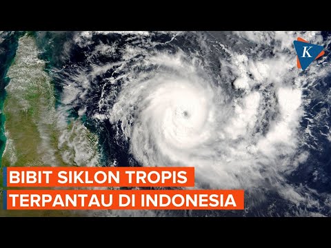 3 Bibit Siklon Tropis Terpantau di Indonesia, Ini Dampaknya