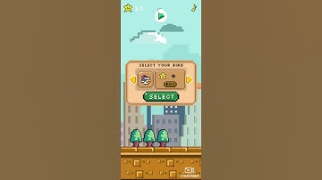 Flappy Bird Speed Run (WR!)😱😱