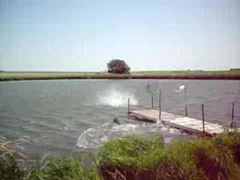 Dock jumping at Wilson Pond