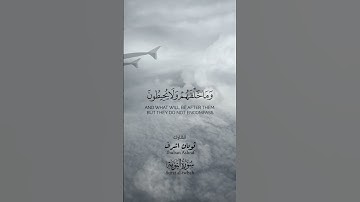 القارئ ثوبان اشرف.