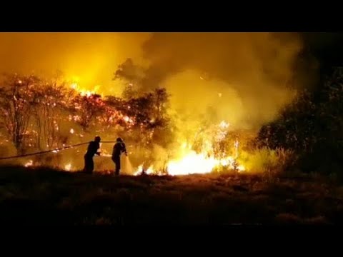شاهد استمرار حرائق الغابات في جزر الكناري Youtube