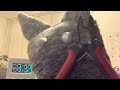 頭の爆弾を解除します!