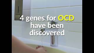 Four brain genes help explain obsessive compulsive disorder