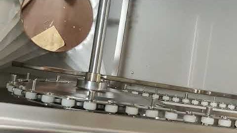 Z-Shape Bucket Elevator