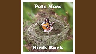 Video thumbnail of "Pete Moss - Nighthawk"