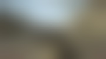 bitch lag - www.ayyware.net