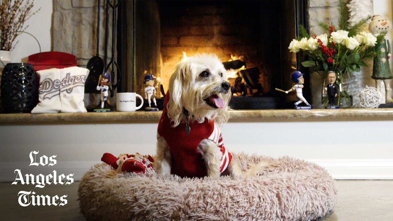 A Very L.A. Christmas Yule Log YouTube