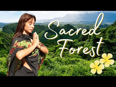 Kauai Sacred Forest Meditation Journey