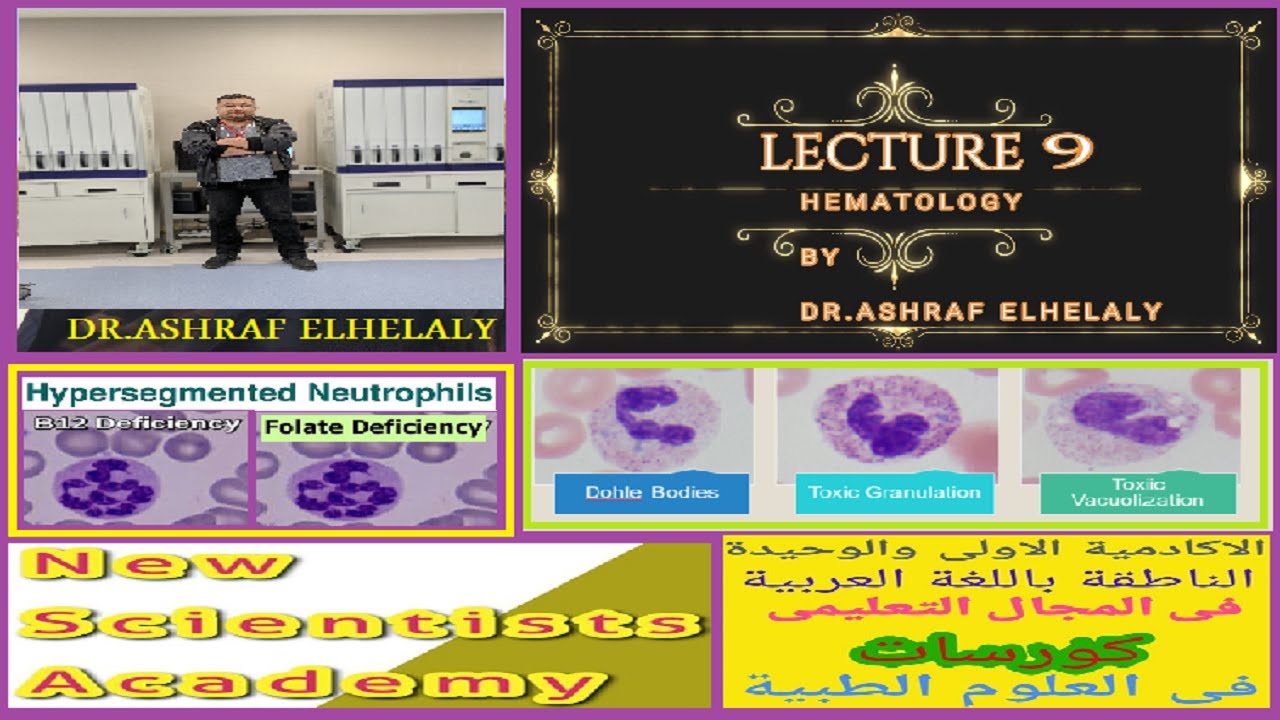 9  Hematology hypersegmented neutrophils and differential diagnosis
