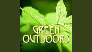 Country Meadow Birdsong for Spa Meditation and Inner Healing