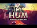 Higher Place vs The Hum vs Stay A While (Dimitri Vegas & Like Mike Tomorrowland 2017)