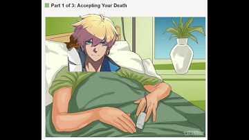 POV: You have max RISC gauge against Sol