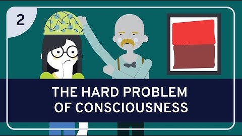 PHILOSOPHY - NEUROSCIENCE AND PHILOSOPHY 2: The Hard Problem of Consciousness