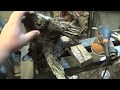woodturning: the iron bark root vase
