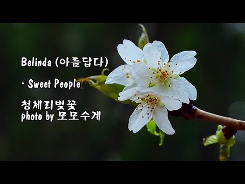 Belinda (아름답다) / <strong>Sweet</strong> People &amp;amp; photo <strong>by</strong> 모모수계