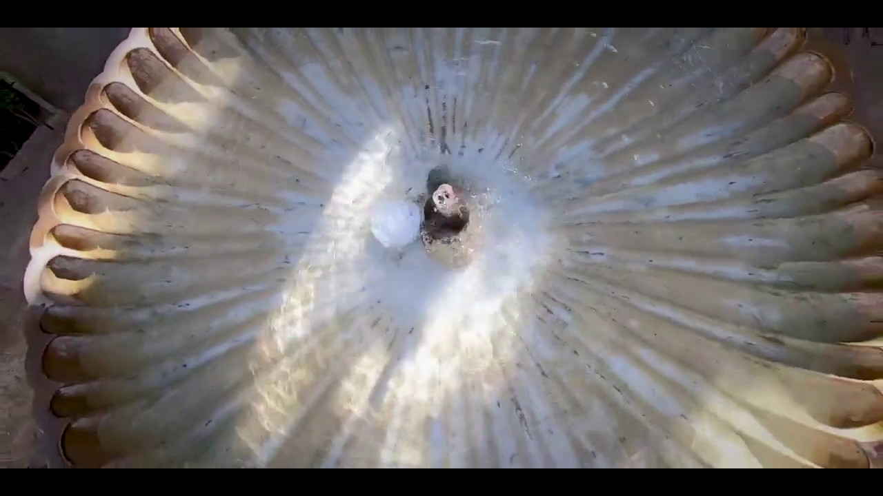 Estrella Morente canta a la Alhambra