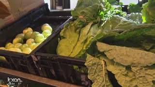How would a proposed change to SNAP benefits affect Texans?