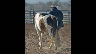 country music instrumental VOL 1