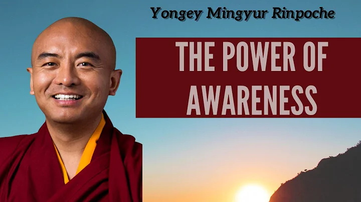 Yongey Mingyur Rinpoche | How To Tap Into Your Awareness | TEDTalk | Reactions