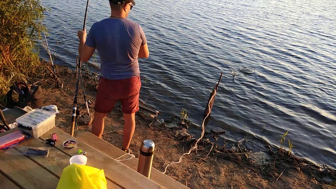 фидер, пруд Аряш, линёк - YouTube