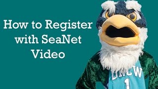 Details SeaNet - FYSA Update