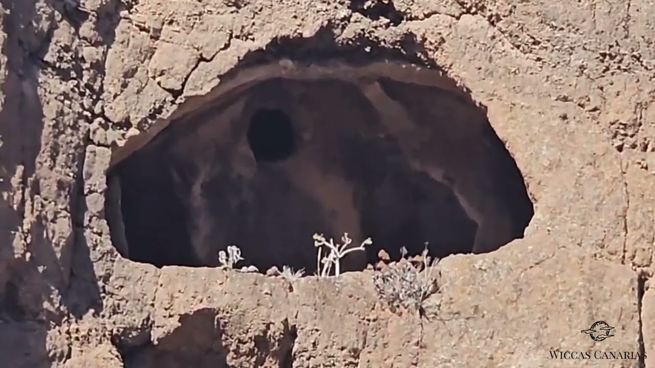 Barranco del Draguillo, Gran Canaria