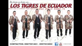 Video thumbnail of "FUI POCO PARA TI LOS TIGRES DE ECUADOR"