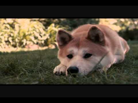 Hachiko Theme Song Piano - Goodbye Jan AP Kaczmare...