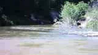 Pine River Kayak P2L 6