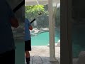 Whole home pressure washing #whatwedo #satisfying #springcleaning #pressurewashing #powerwashing