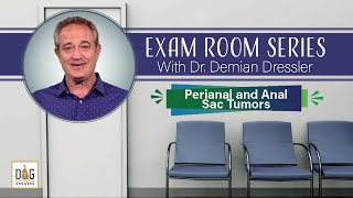 Exam Room Series: Perianal and Anal Sac Tumors │ Dr. Demian Dressler