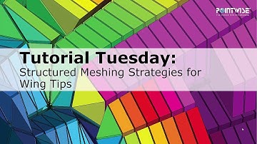 Structured Meshing Strategies for Wing Tips