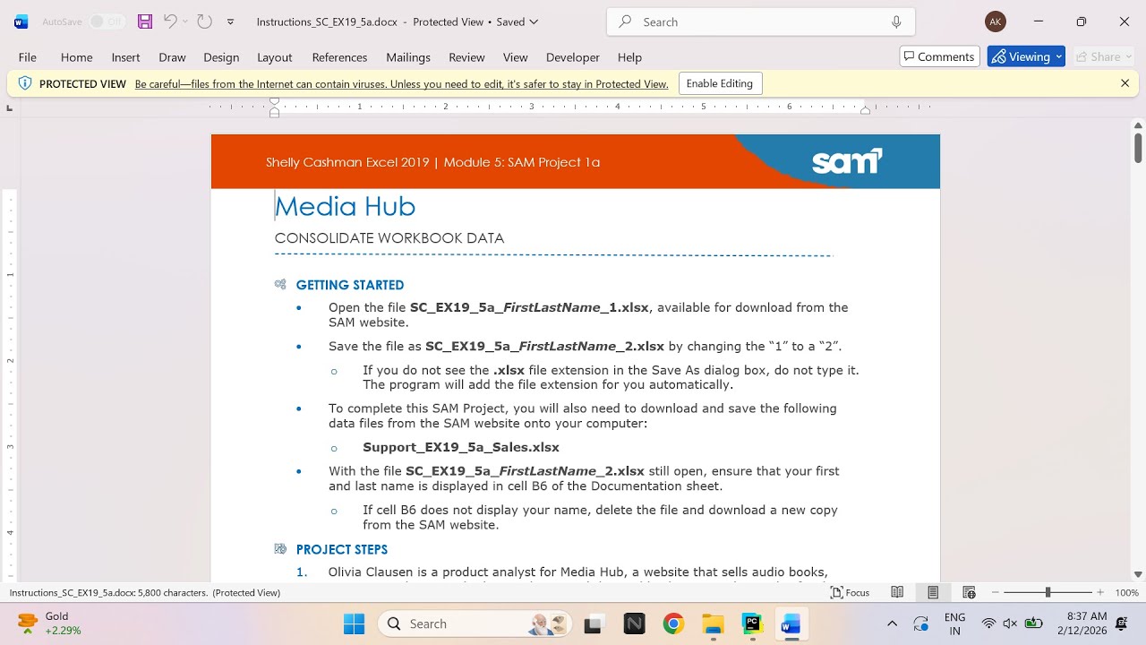Shelly Cashman Excel 2019 | Module 5: SAM Project 1a Media Hub - YouTube