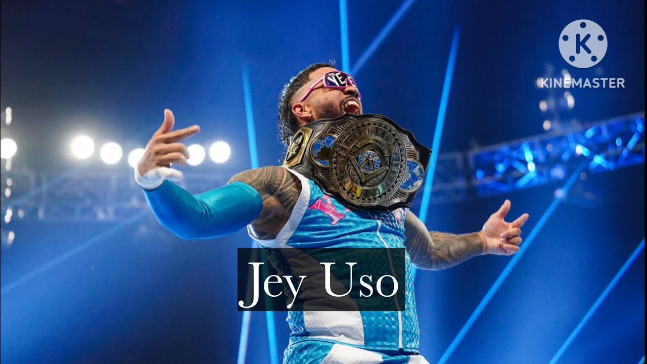 [WWE]2024年に大活躍した選手の入場曲集〜男性レスラー編〜