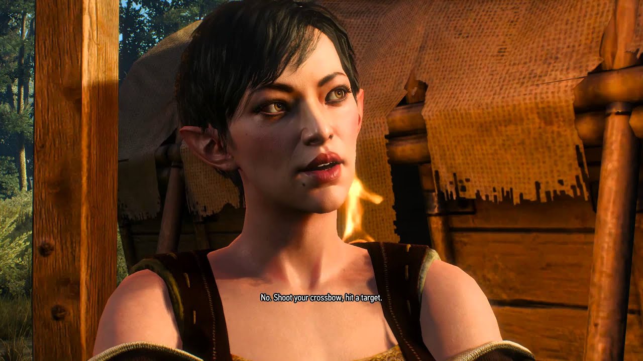 The Witcher 3 Hearts of Stone ProtectorNova meets a beautiful Elf