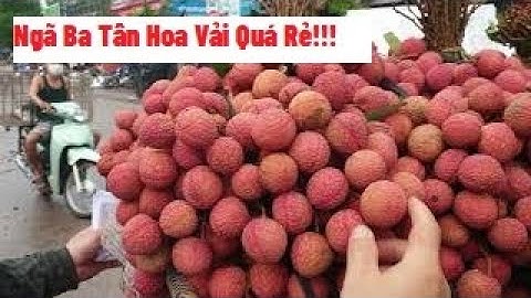 Vải Rẻ Quá Tại Ngã Ba Tân Hoa, Cao Nhất giá 14k l Vải Thiều Lục Ngạn Bắc Giang