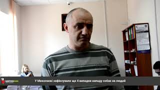 В Николаеве зафиксировали еще четыре случая нападения собак на людей / Shipovnik.ua В Николаеве зафиксировали еще четыре случая нападения собак на людей / Shipovnik.ua