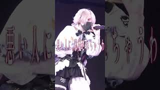 いとふまツーマンライブ開催決定＿＿＿  #どるれく #歌ってみた どるれく - Doll‘s Requiem -