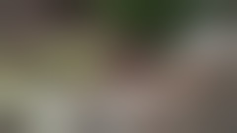 سورة الزلزله للشيخ قتيبه الزويد من برنامج بكل صراحه