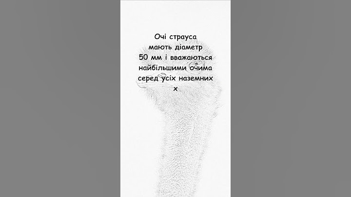 Очі страуса.