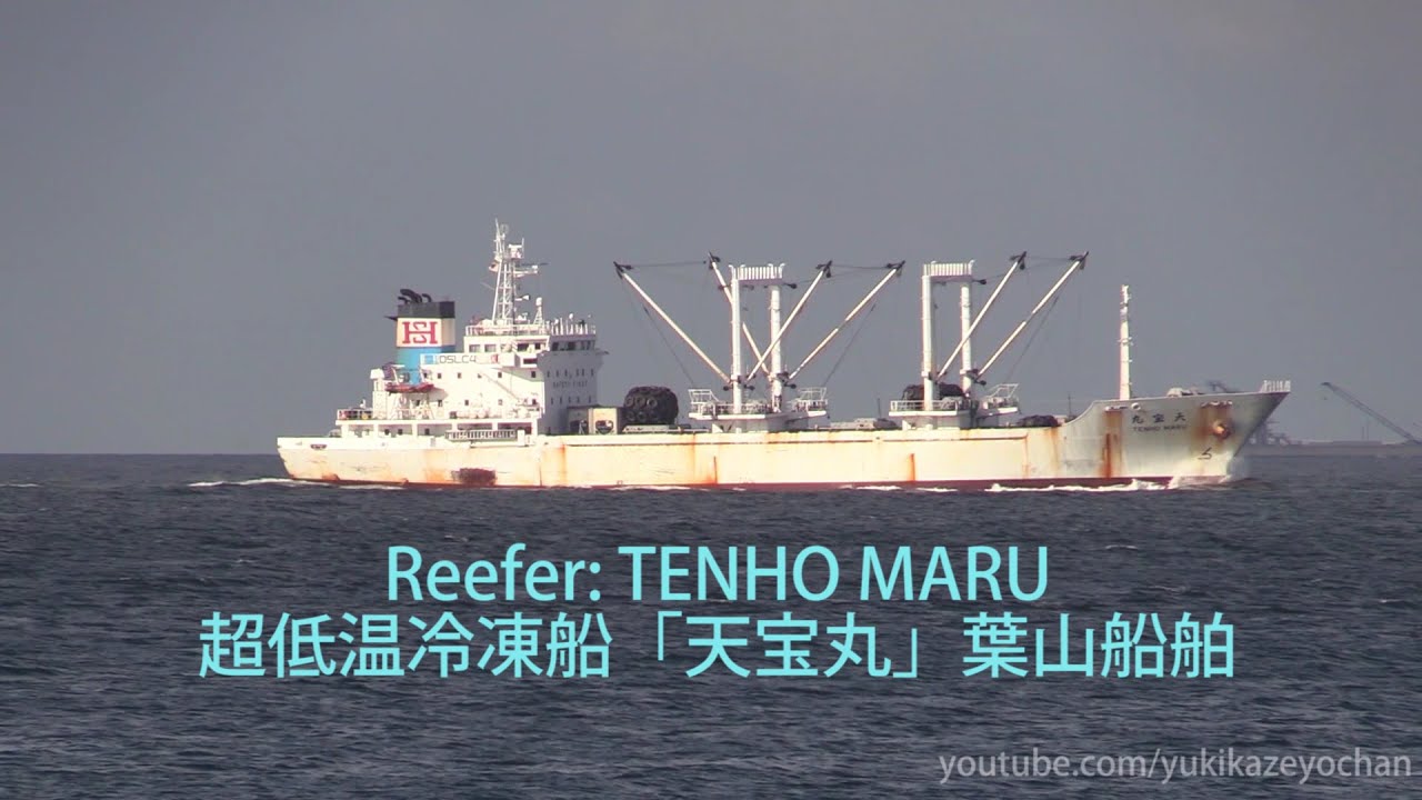 2460番 鉄製 宝船 Reefer 超低温冷凍船「天宝丸」葉山船舶 TENHO MARU - YouTube