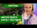 Навошта гораду агарод? Гарадскі агарод Plantацыя | Экология большого города. Экофренды – Добры канал