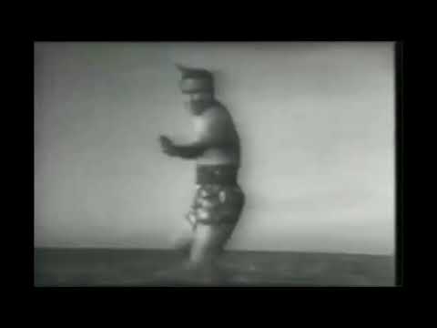 ადამიანი იბრძვის ხარის წინააღმდეგ შიშველი ხელებით - მასუტაცუ ოიამა