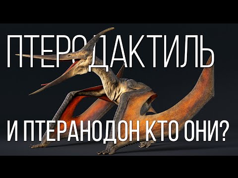 PTERODACTYL: A flying dinosaur the size of a crow | Interesting Facts About Dinosaurs