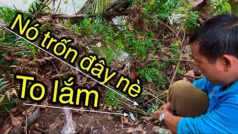 Câu cá rô đồng, Trở Lại Điểm Câu CHƯA BAO GIỜ MÓM / Fishing