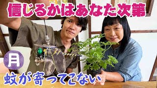 【夏の蚊の対策】今注目の商品「オニヤンマ」はいかが？服やカバンに付けるだけで蚊やカメムシ、スズメ蜂も逃げるって本当!?【虫除けスプレー】