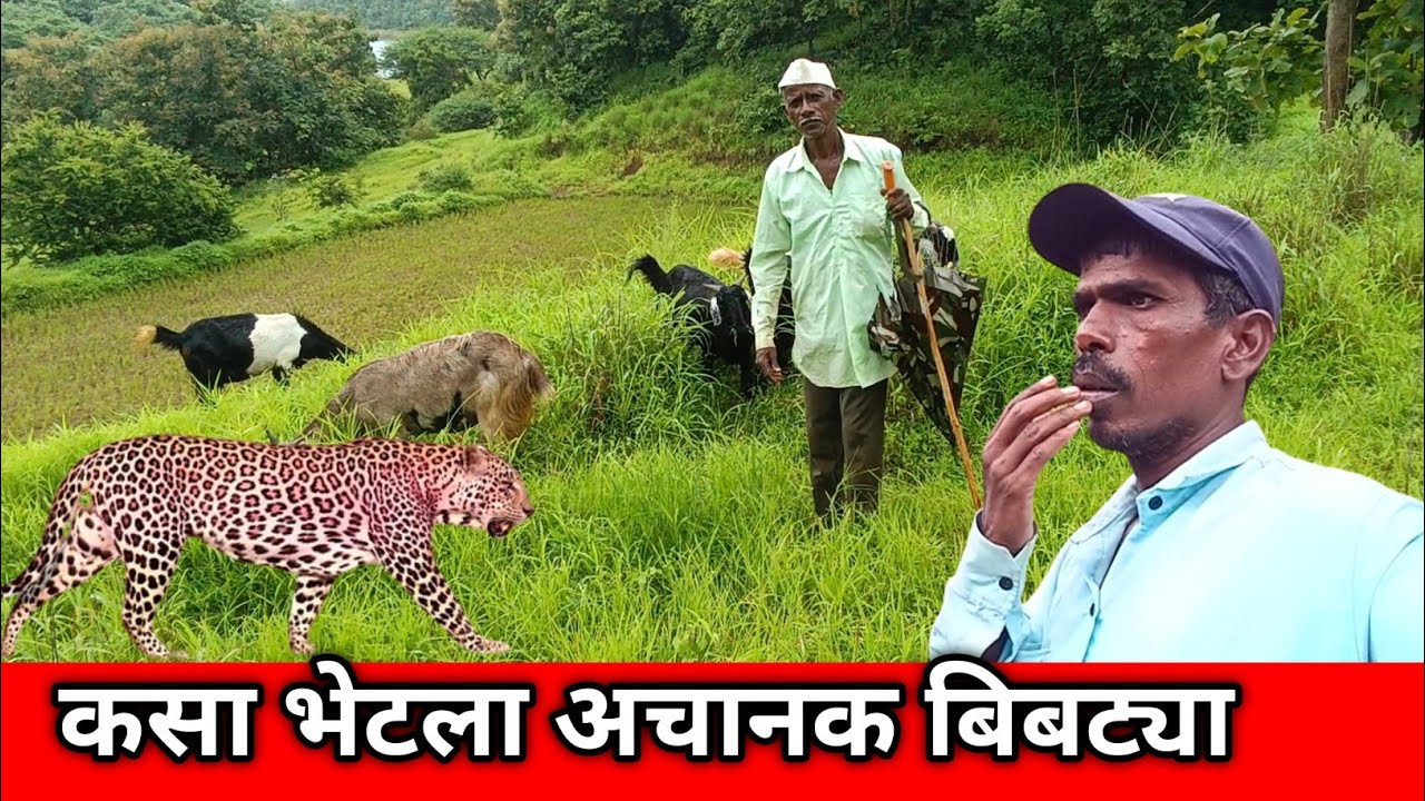 कसा भेटला अचानक बिबट्या/ram aditya marathi blog 