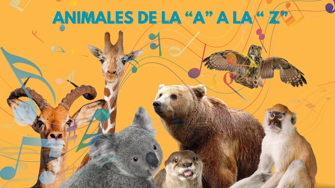 Animales de la A a la Z | Animales | Vocabulario - YouTube