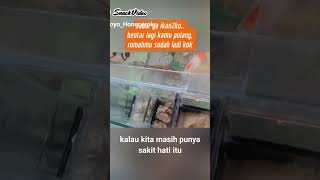 Download Lagu sirno dalane pati MP3 Download Lagu sirno dalane pati MP3