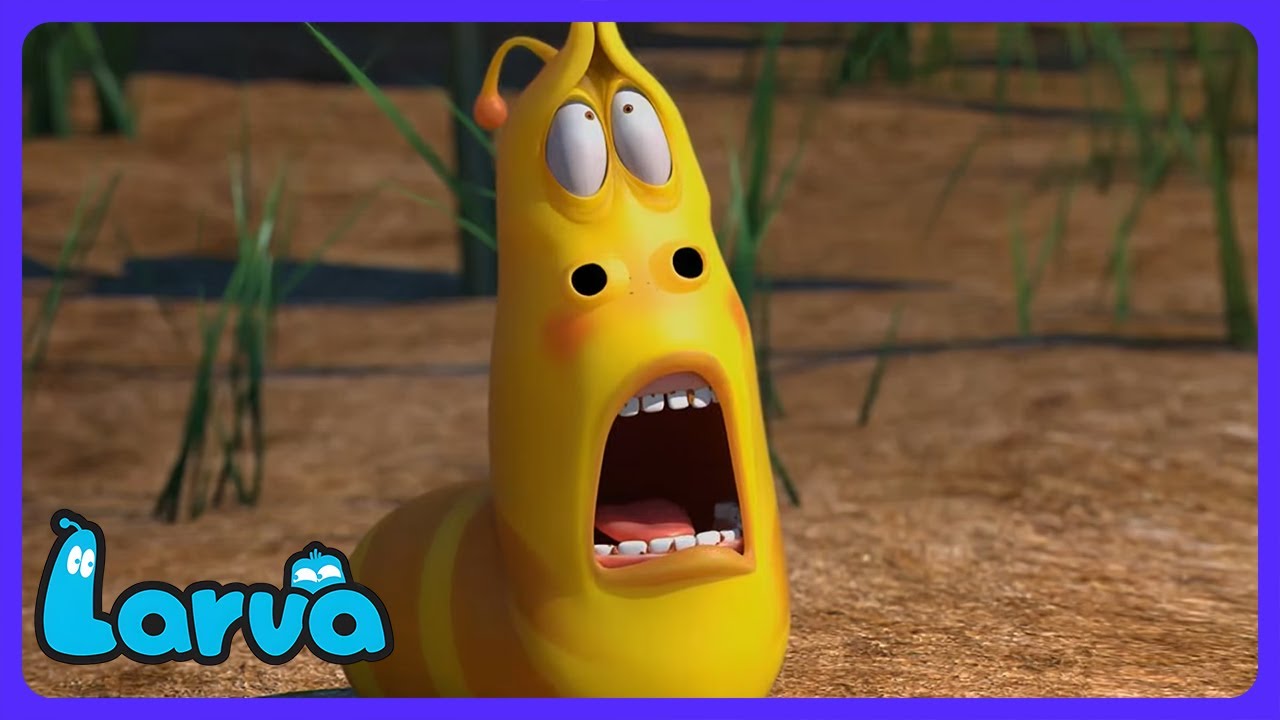 Larva - Who Stole the Sausage? | Kids Cartoons | WildBrain Action Arena